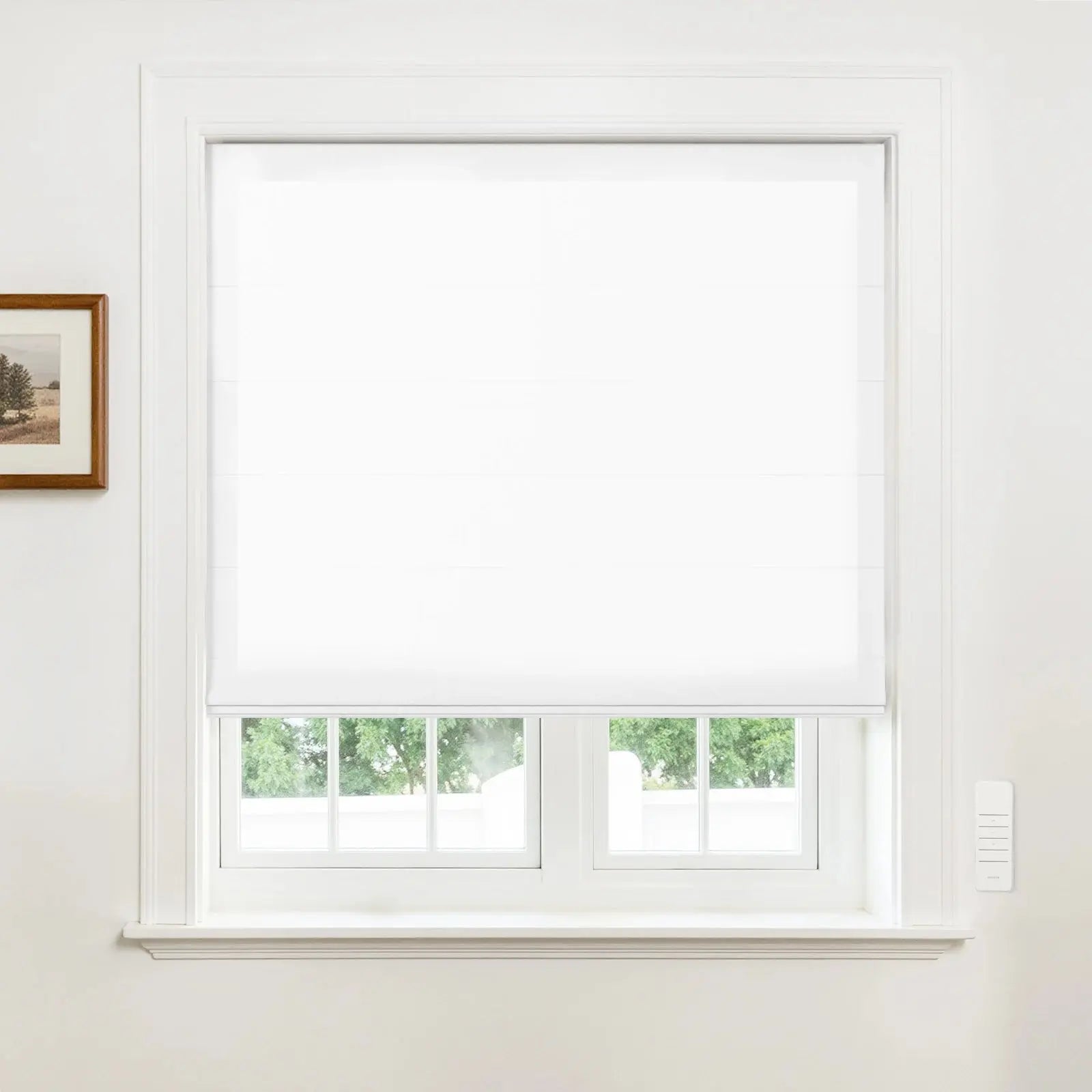 Alvin Motorized Sheer Room Darkening Roman Blind?-TWOPAGES