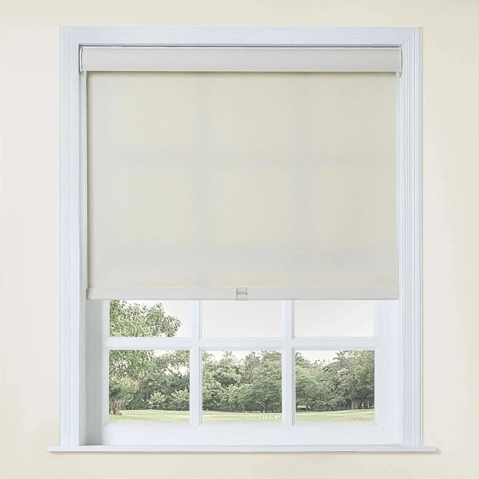 Alvin Light Filtering Cordless Roller Blinds-?-TWOPAGES
