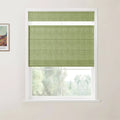 A light green textured Roman blind partially covers a white-framed window overlooking blurred trees, with a framed Van Gogh print visible on the adjacent white wall