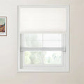 Photograph of a white window with dual white cellular and Roman blinds, offering a blurred green outdoor view, next to a partially visible framed Van Gogh print on a light wall