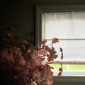 Patti Belgian Linen Cordless Roman Shade TWOPAGES