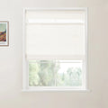 A photograph of a white-framed window with a light beige textured roller blind partially lowered, overlooking a natural scene of blurred green trees, and a framed Van Gogh art print on the left white wall