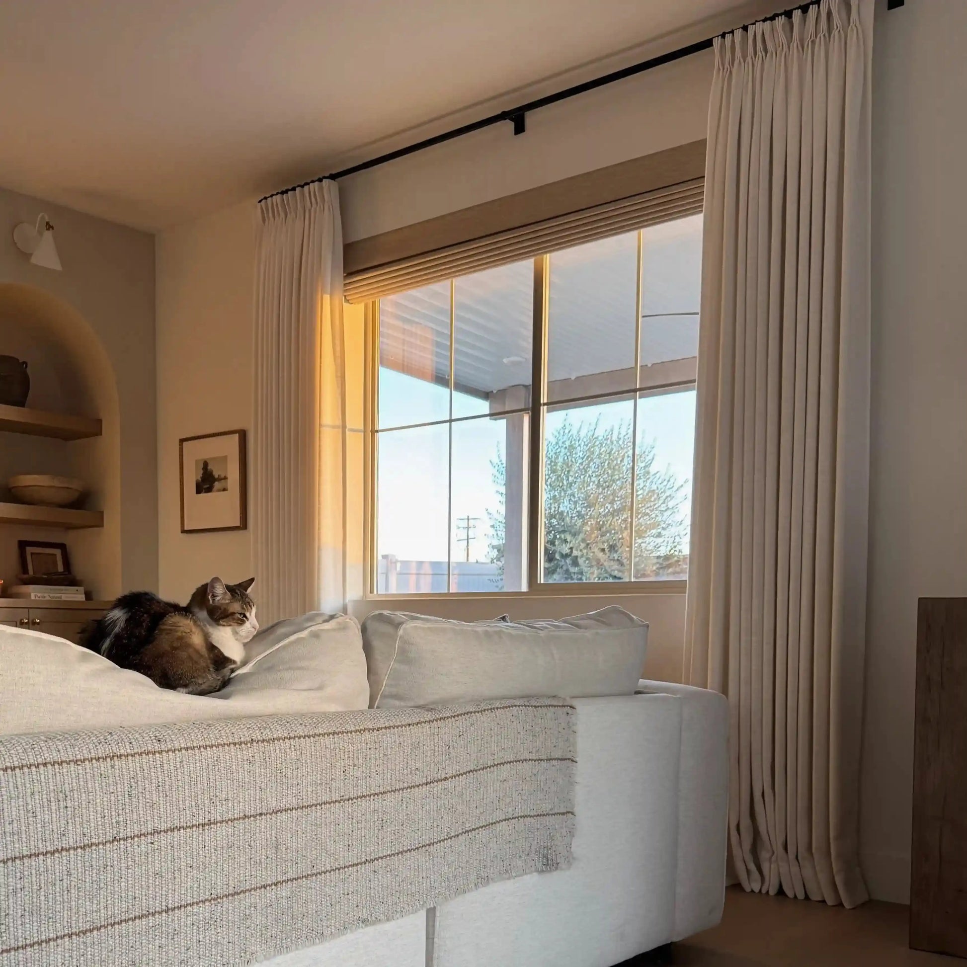 A tranquil scene of a calico cat with a white chest and face resting on a beige couch with a striped throw blanket in a sunlit living room featuring sheer pleated curtains and a window view of an outdoor tree and utility pole