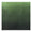Fabric swatch showcasing a vibrant green to deep dark green gradient with a visible speckled texture and distinctive scalloped edges