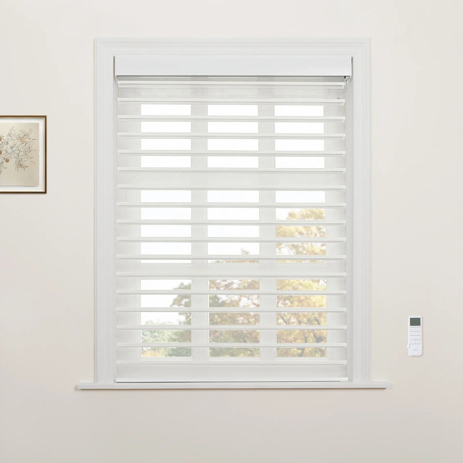 White translucent and opaque striped zebra roller Blinds installed in a window frame, showing outdoor trees beyond, with a remote control on the adjacent wall and a framed botanical illustration hanging on the left
