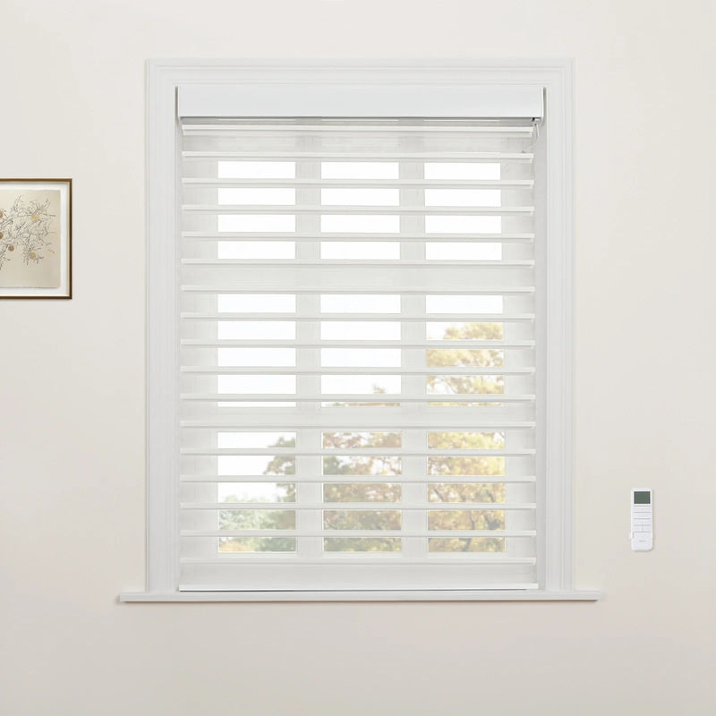 White translucent and opaque striped zebra roller Blinds installed in a window frame, showing outdoor trees beyond, with a remote control on the adjacent wall and a framed botanical illustration hanging on the left