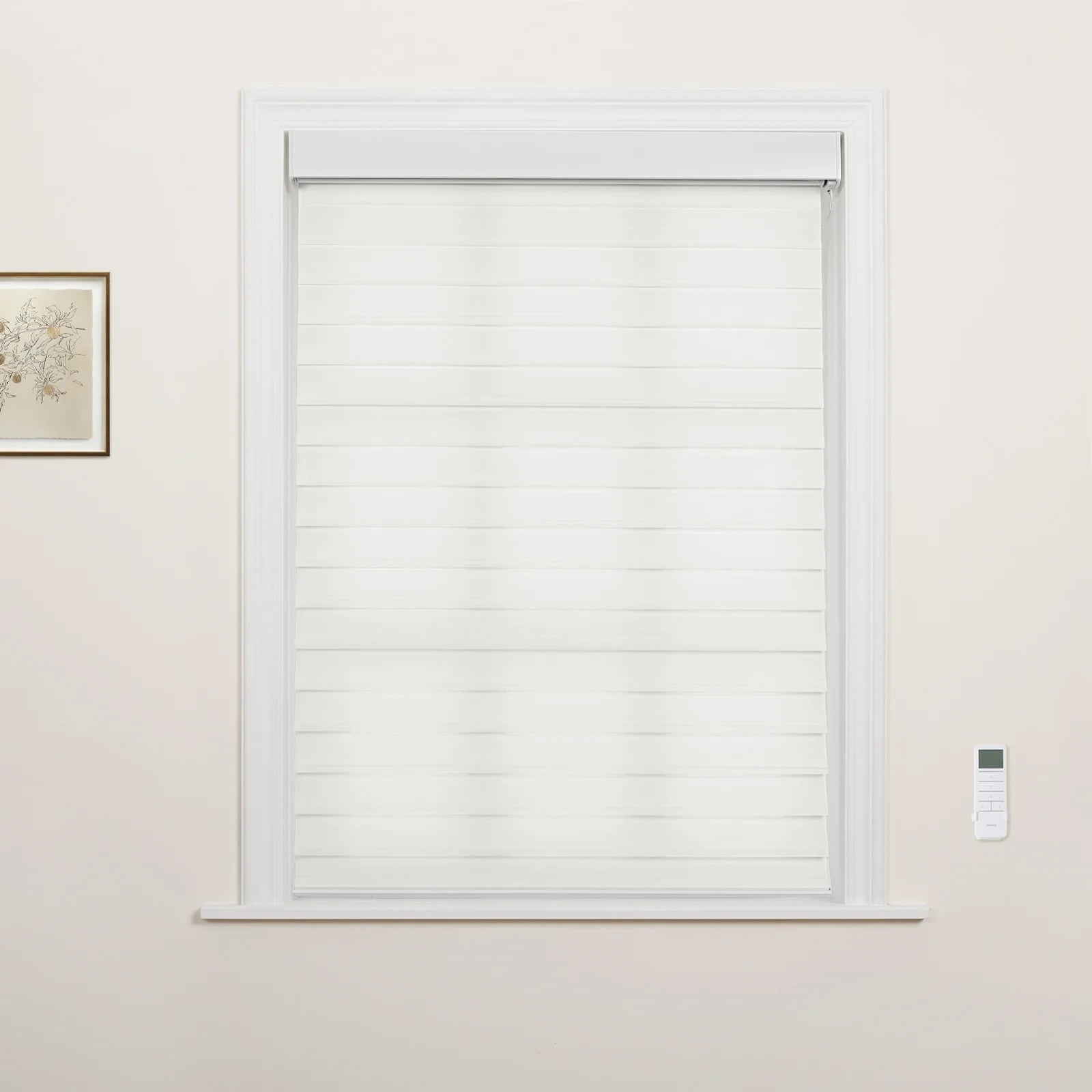 A window in an interior room showcasing white zebra Blinds, accompanied by a small framed botanical art print on the left and a white remote control on the right wall