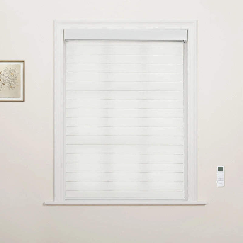 A window in an interior room showcasing white zebra Blinds, accompanied by a small framed botanical art print on the left and a white remote control on the right wall