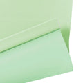Alvin Basic Premium Blackout Cordless Roller Blinds-?-TWOPAGES