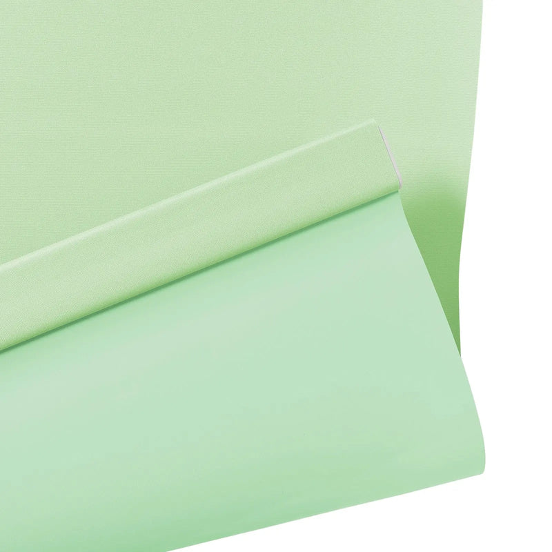 Alvin Basic Premium Blackout Cordless Roller Blinds-?-TWOPAGES