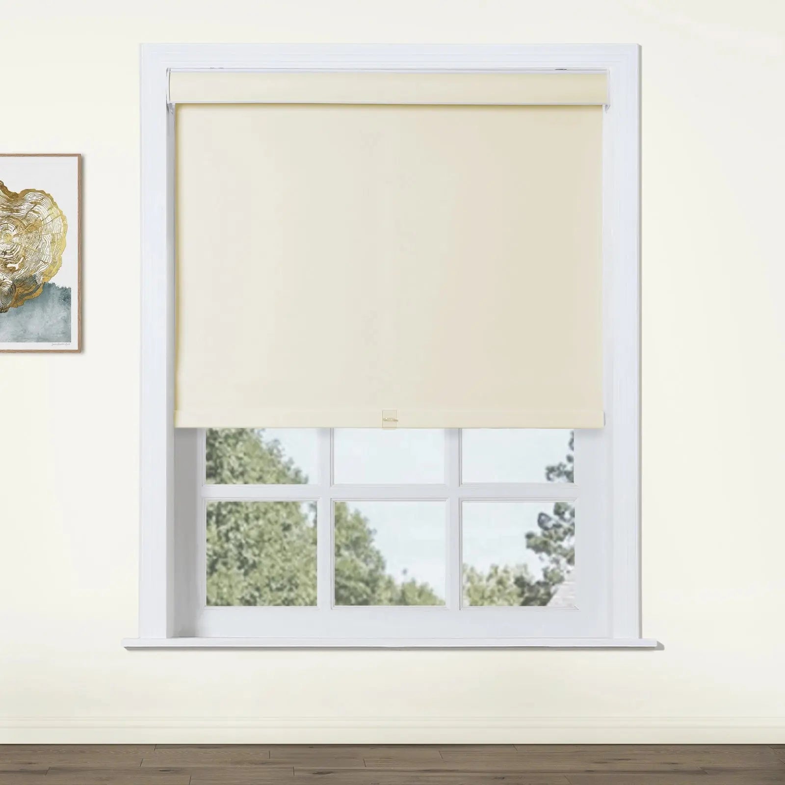 Alvin Basic Premium Blackout Cordless Roller Blinds-?-TWOPAGES