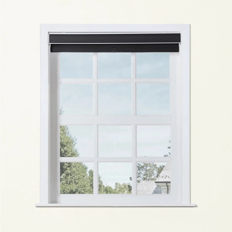 Alvin Basic Room Darkening Cordless Roller Blinds-?-TWOPAGES