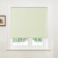 Alvin Motorized Blackout Boutique Roman Blind?-TWOPAGES