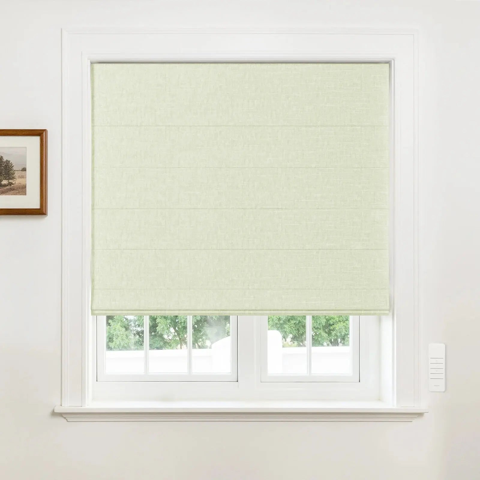 Alvin Motorized Blackout Boutique Roman Blind?-TWOPAGES
