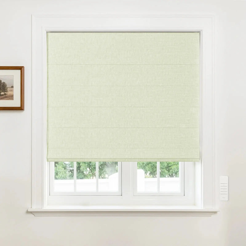 Alvin Motorized Blackout Boutique Roman Blind?-TWOPAGES