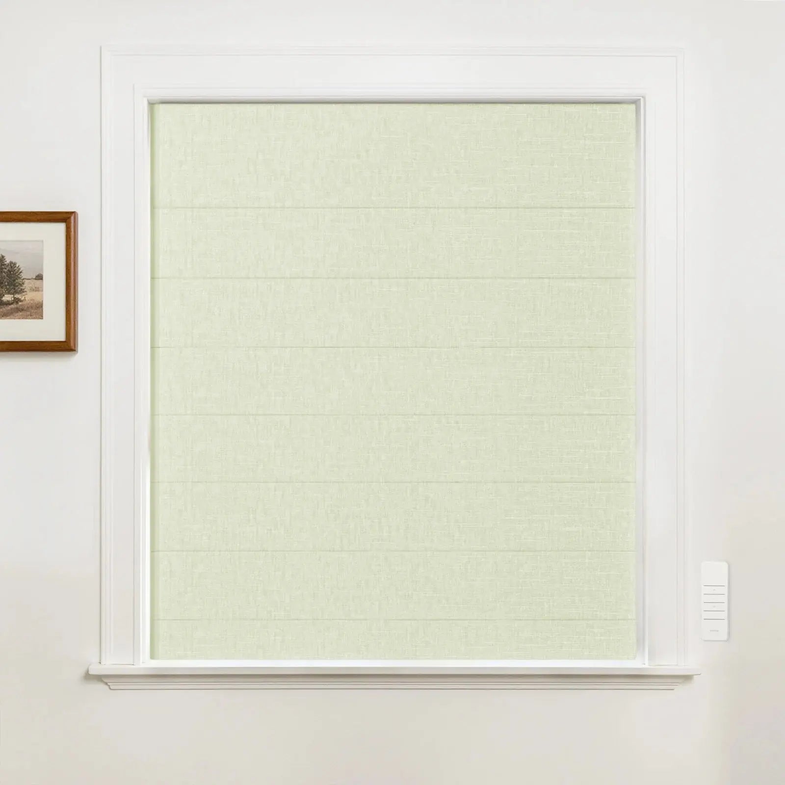 Alvin Motorized Blackout Boutique Roman Blind?-TWOPAGES