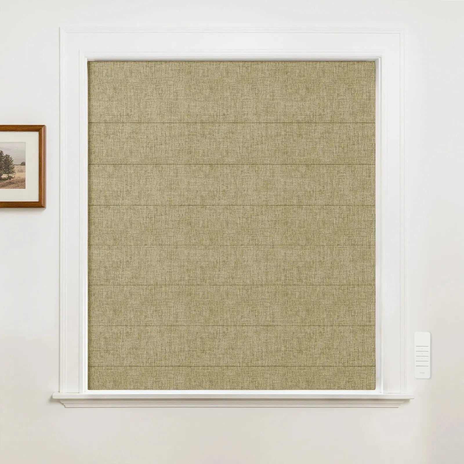 Alvin Motorized Blackout Boutique Roman Blind?-TWOPAGES