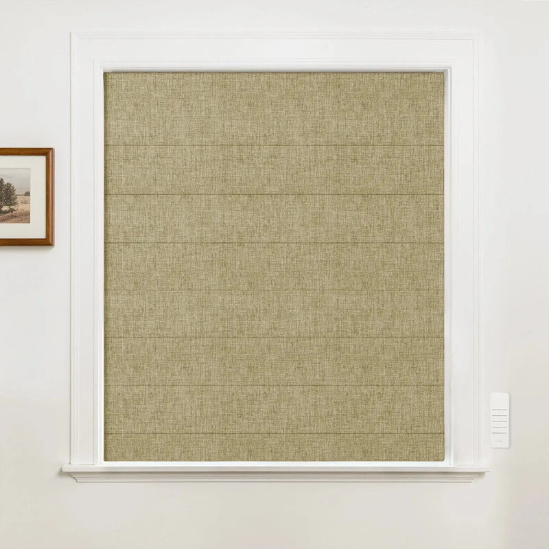 Alvin Motorized Blackout Boutique Roman Blind?-TWOPAGES