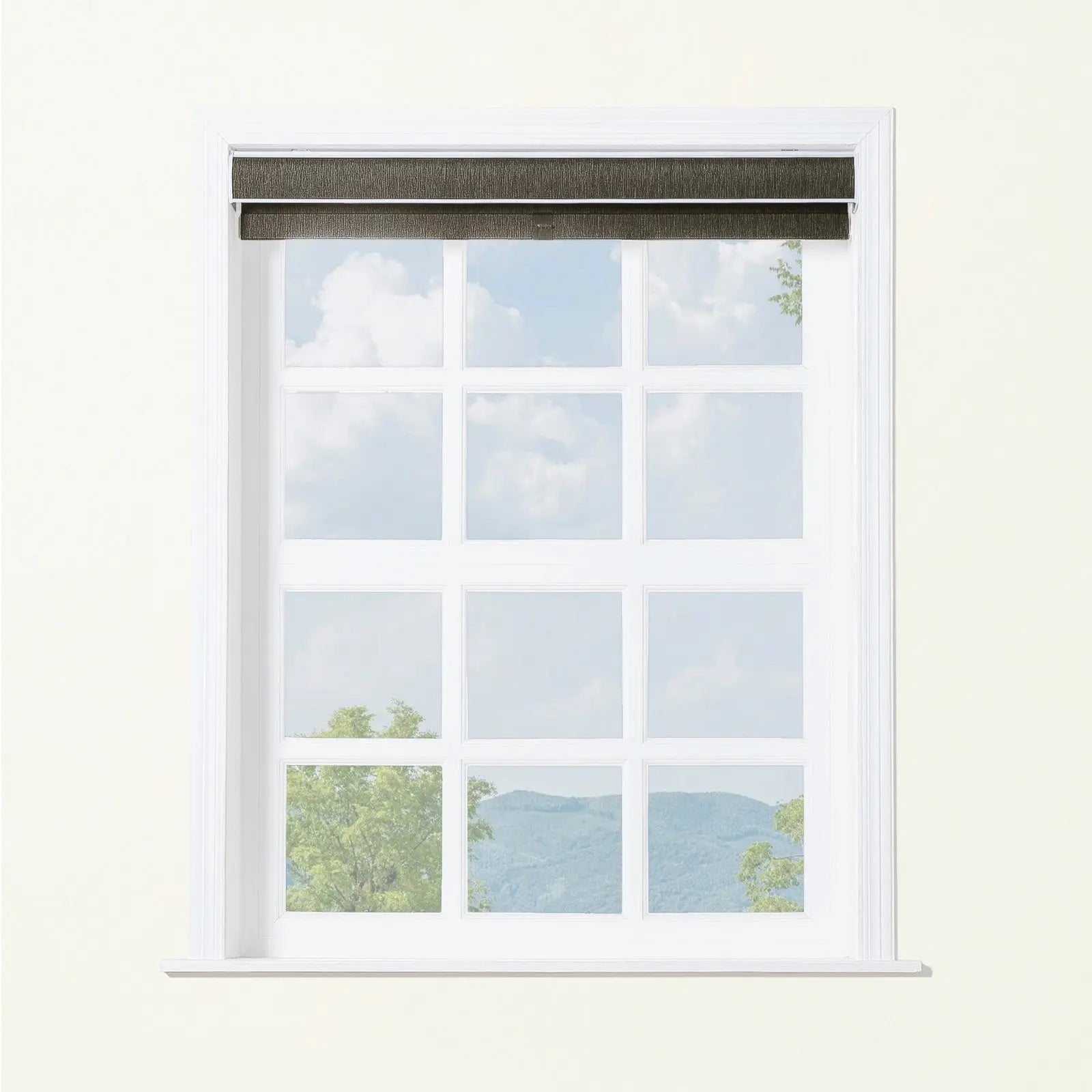 Alvin Boutique Room Darkening Cordless Roller Blinds-?-TWOPAGES