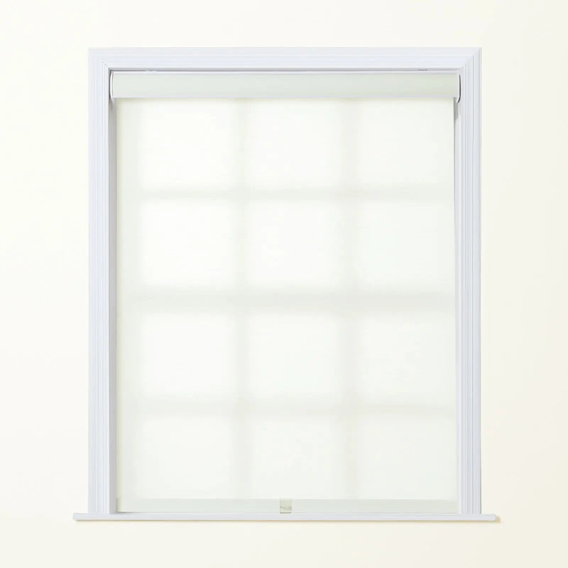 Alvin Boutique Room Darkening Cordless Roller Blinds-?-TWOPAGES
