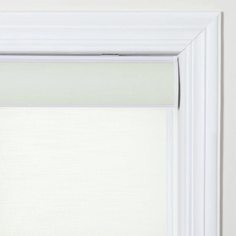 Alvin Boutique Room Darkening Cordless Roller Blinds-?-TWOPAGES