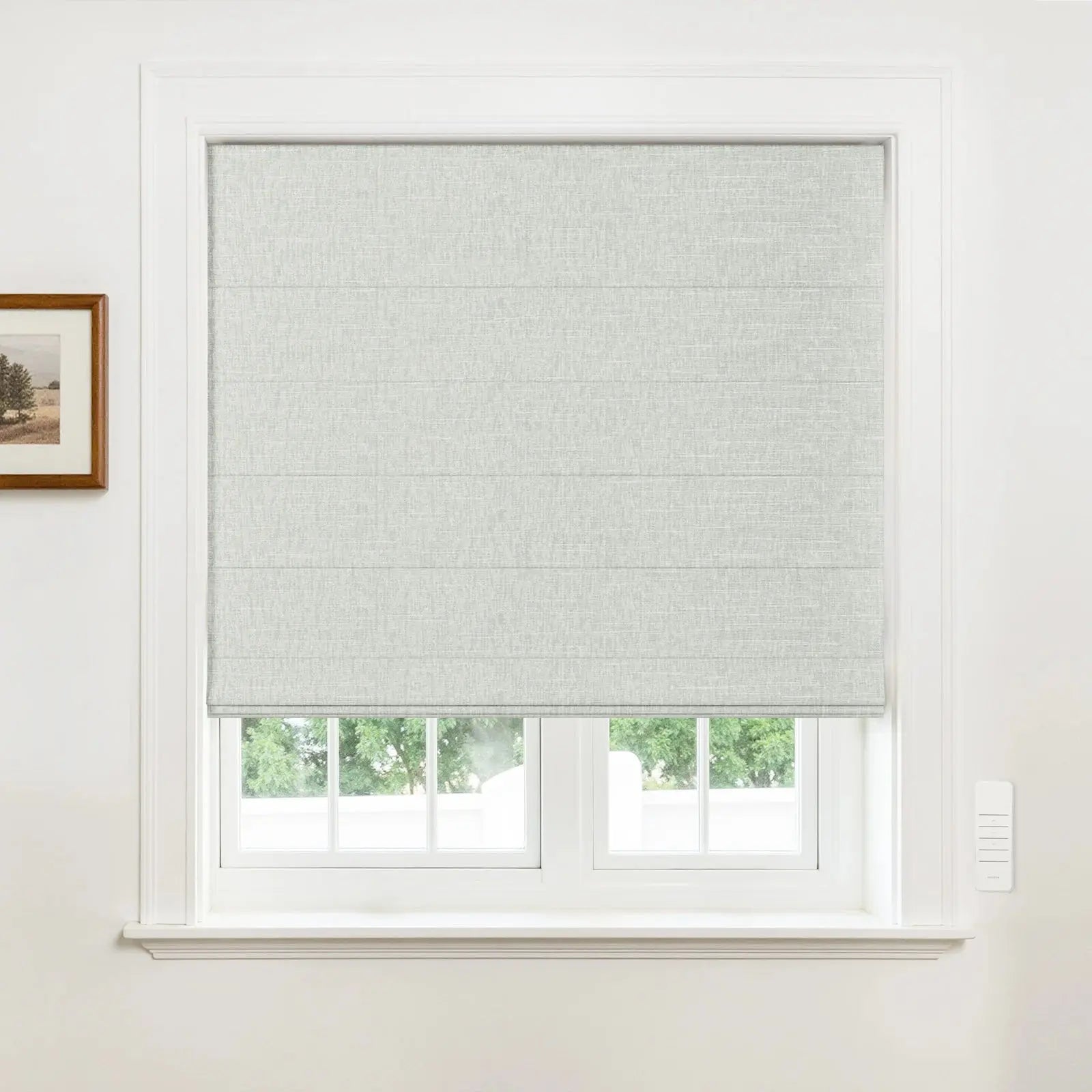 Alvin Motorized Blackout Boutique Roman Blind?-TWOPAGES