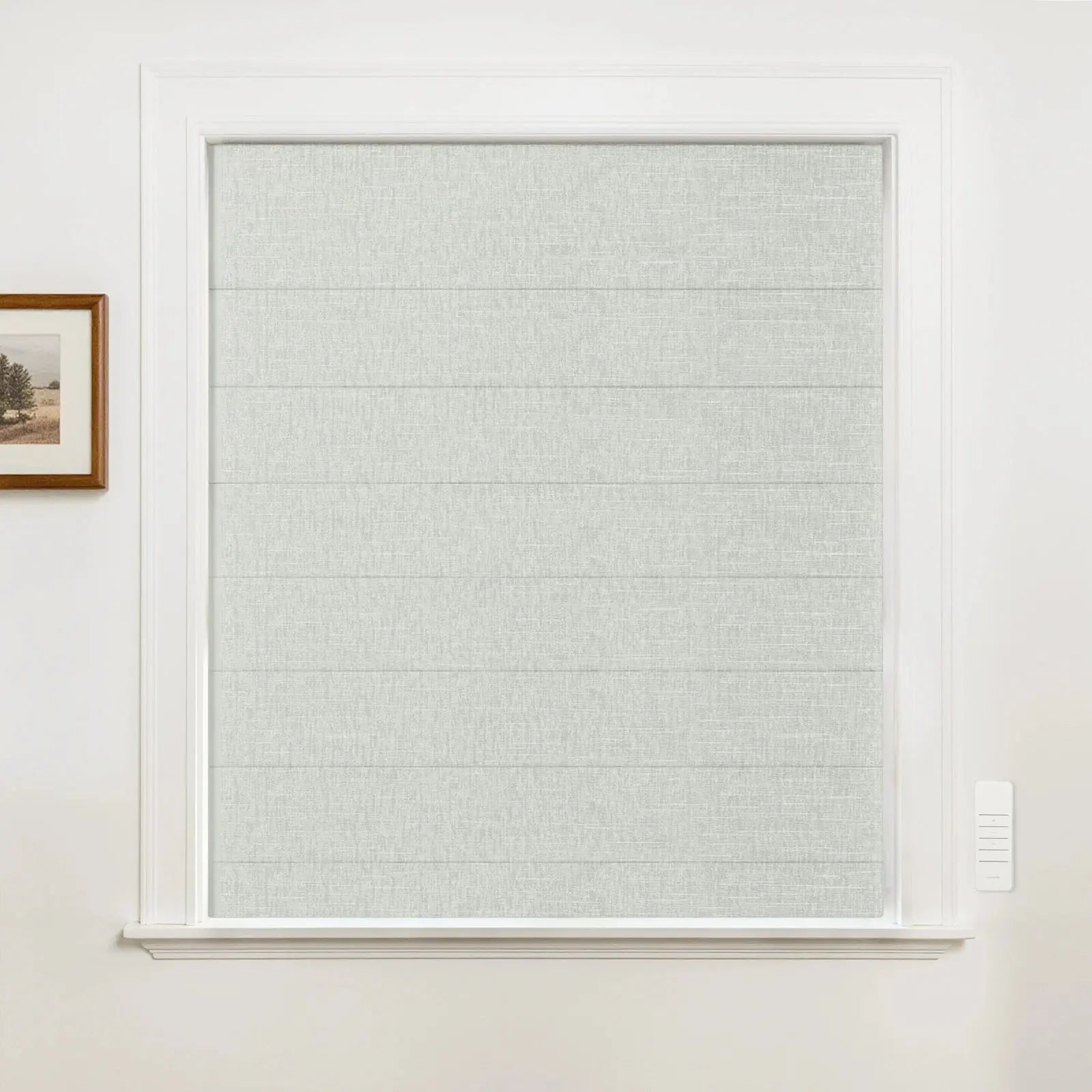 Alvin Motorized Blackout Boutique Roman Blind?-TWOPAGES