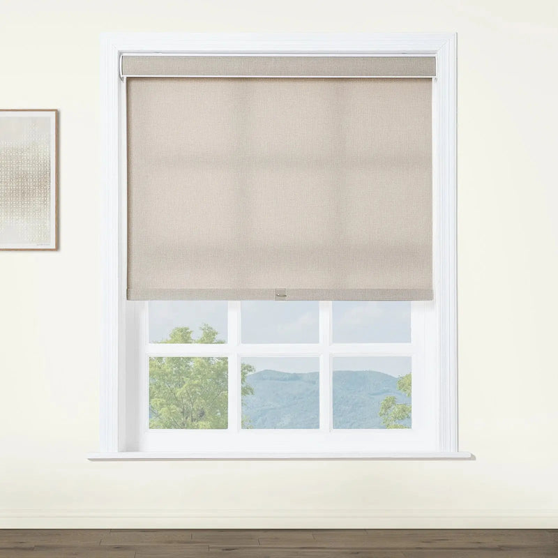 Alvin Boutique Room Darkening Cordless Roller Blinds-?-TWOPAGES