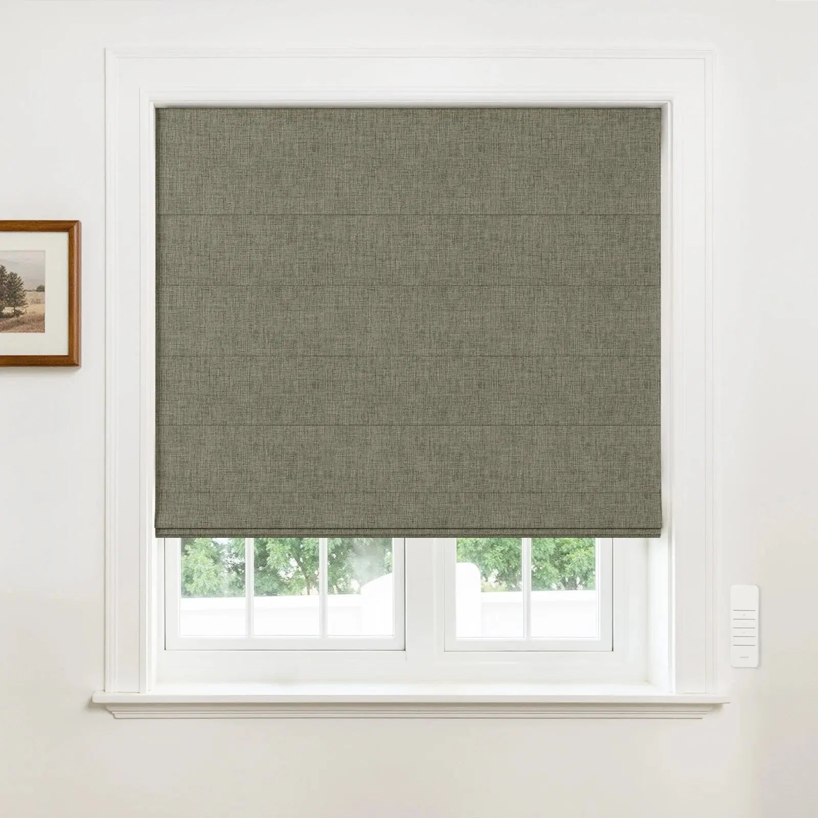 Alvin Motorized Blackout Boutique Roman Blind?-TWOPAGES