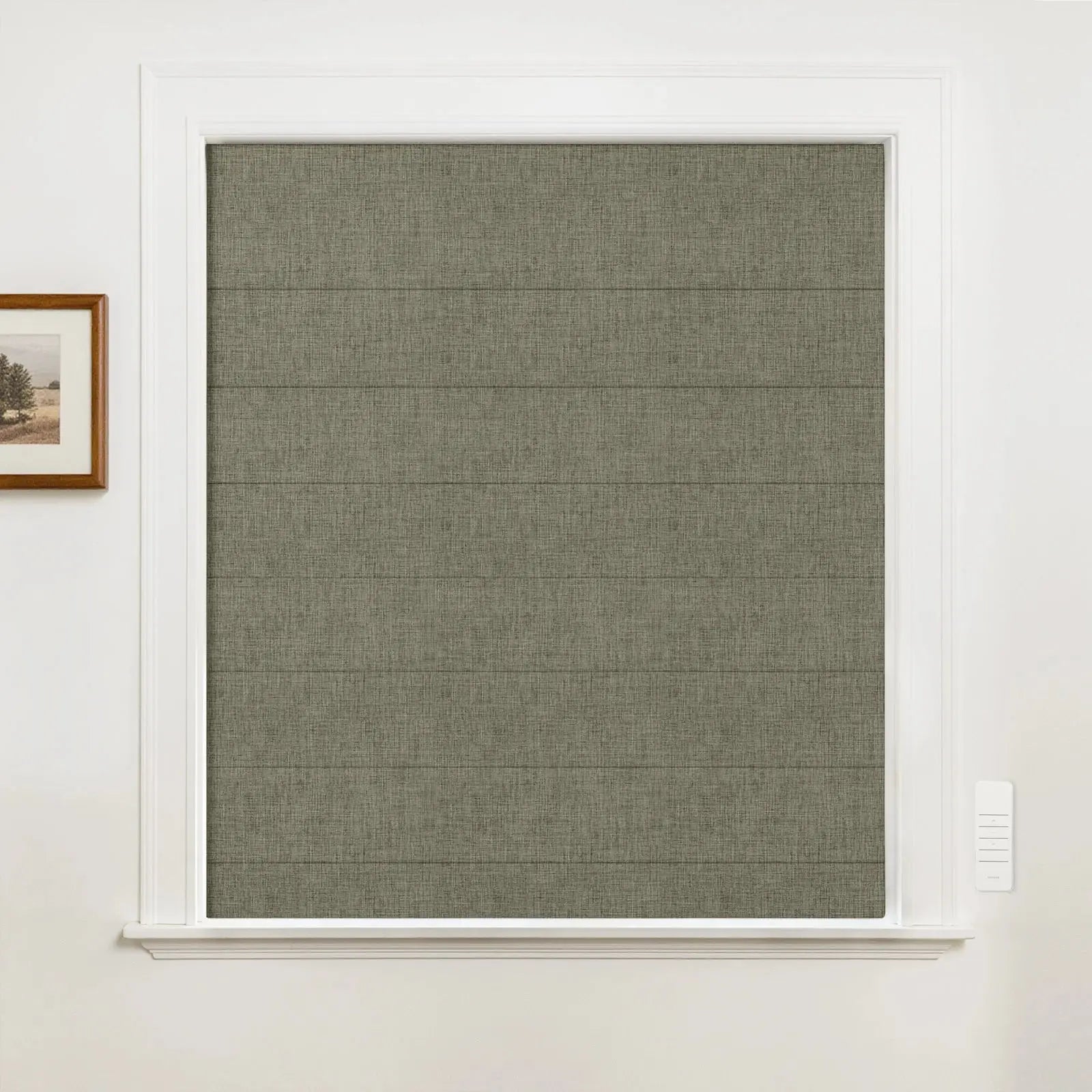 Alvin Motorized Blackout Boutique Roman Blind?-TWOPAGES