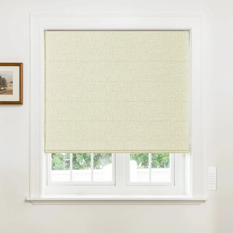 Alvin Motorized Blackout Boutique Roman Blind?-TWOPAGES