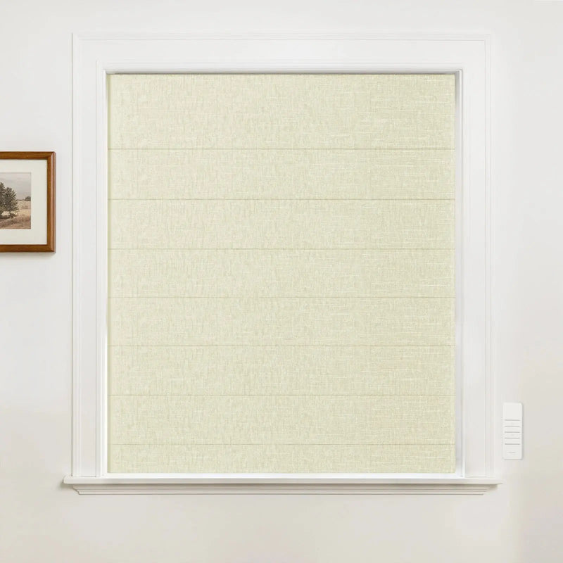 Alvin Motorized Blackout Boutique Roman Blind?-TWOPAGES