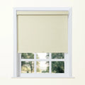Alvin Boutique Blackout Cordless Roller Blinds-?-TWOPAGES