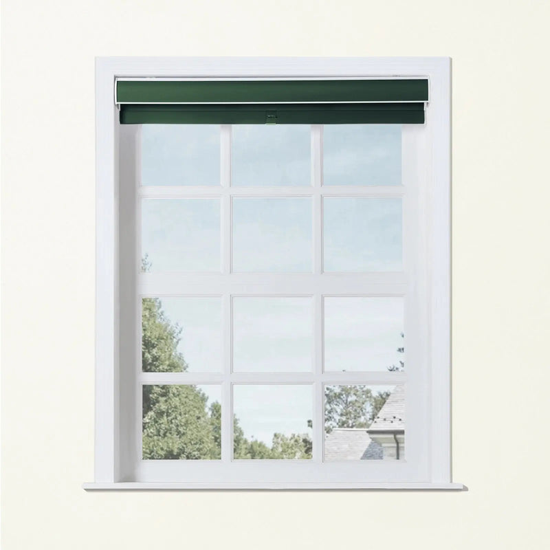 Alvin Basic Room Darkening Cordless Roller Blinds-?-TWOPAGES