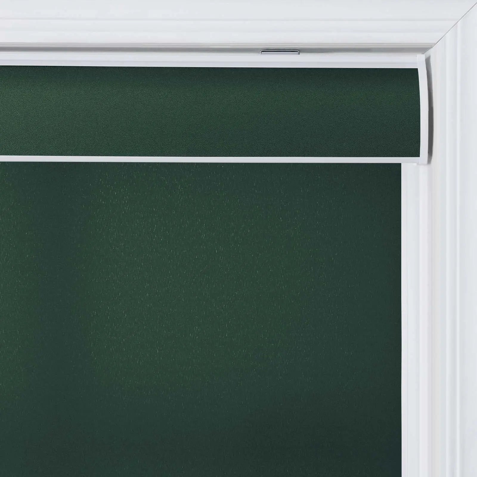 Alvin Basic Room Darkening Cordless Roller Blinds-?-TWOPAGES