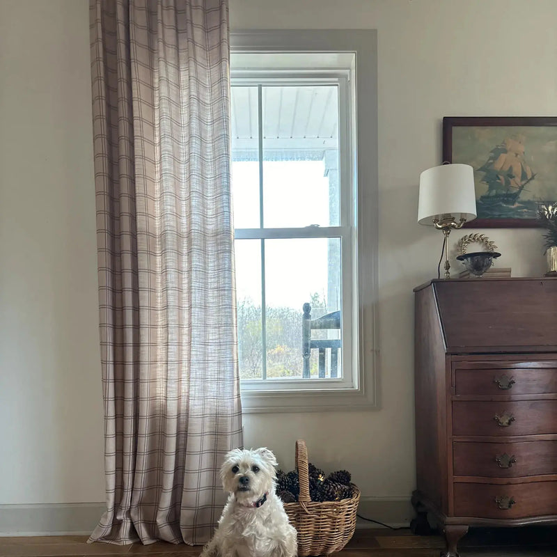 A white shaggy dog with a pink collar sits on a wooden floor in a rustic home interior next to a wicker basket filled with pinecones and string lights in front of a window with a beige plaid curtain and an antique wooden secretary desk topped with a brass lamp and a framed nautical ship painting