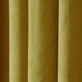 Birkin Velvet Curtain Pleated -TWOPAGES