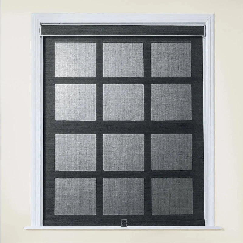 Alvin Light Filtering Cordless Roller Blinds-?-TWOPAGES
