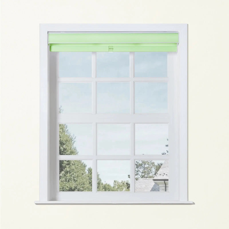 Alvin Basic Room Darkening Cordless Roller Blinds-?-TWOPAGES