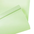 Alvin Basic Room Darkening Cordless Roller Blinds-?-TWOPAGES