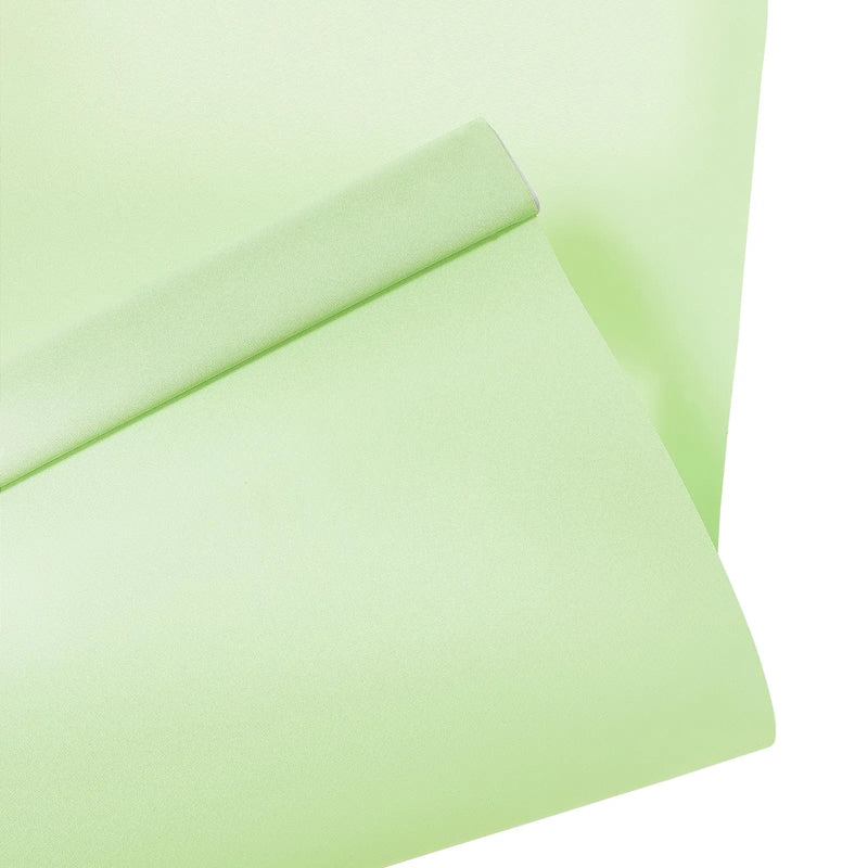 Alvin Basic Room Darkening Cordless Roller Blinds-?-TWOPAGES