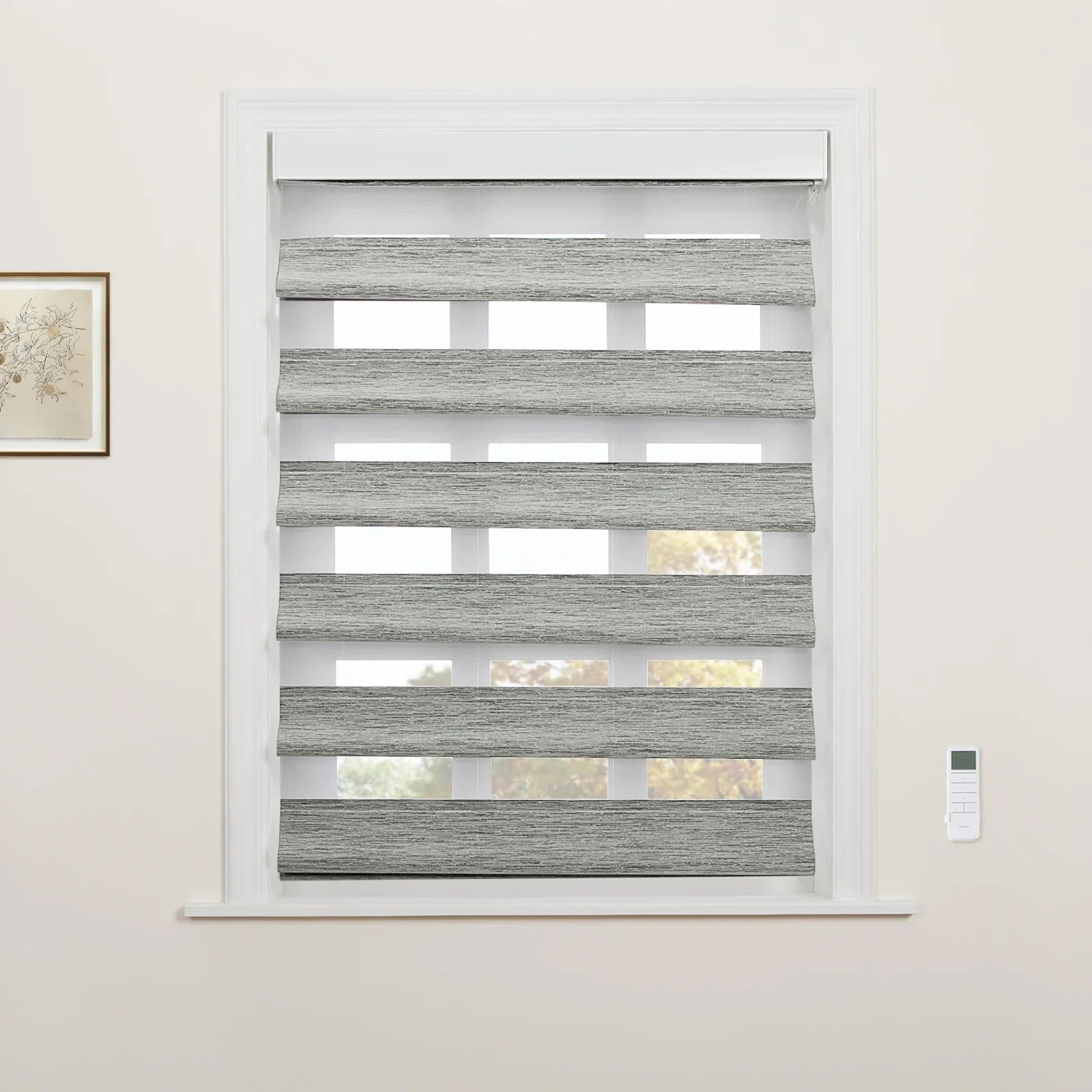 A window in an interior room featuring white trim, zebra-style Blinds with alternating grey textured and sheer white stripes, a wall-mounted white remote control, and a framed botanical print on the left