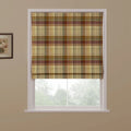 A Roman blind featuring a multi-toned beige, brown, and maroon plaid pattern with subtle blue lines partially covers a window overlooking blurred trees, with a small framed floral print on the adjacent beige wall
