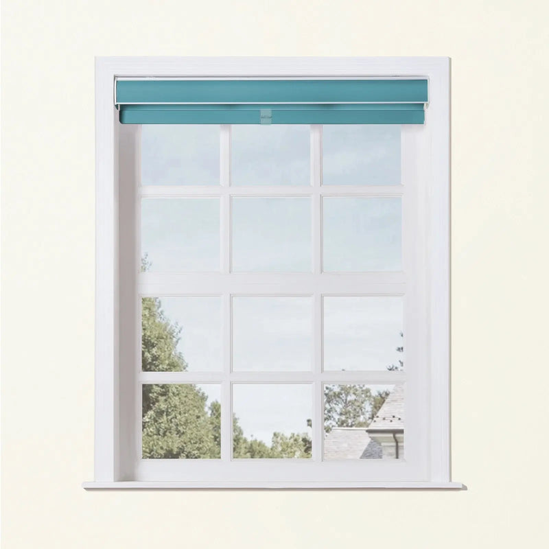 Alvin Basic Room Darkening Cordless Roller Blinds-?-TWOPAGES