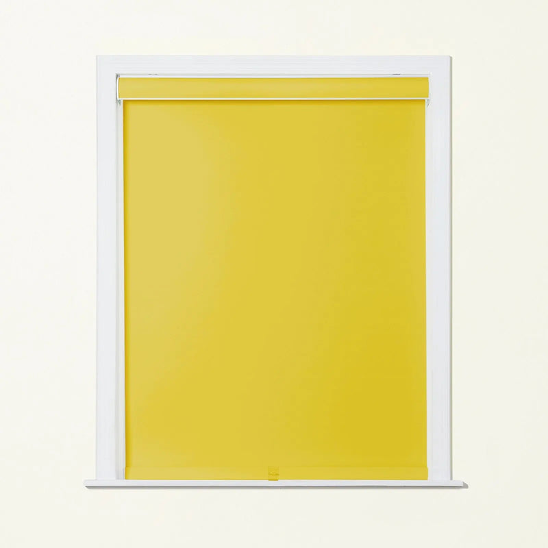 Alvin Basic Premium Blackout Cordless Roller Blinds-?-TWOPAGES