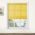 Alvin Basic Room Darkening Cordless Roller Blinds-?-TWOPAGES