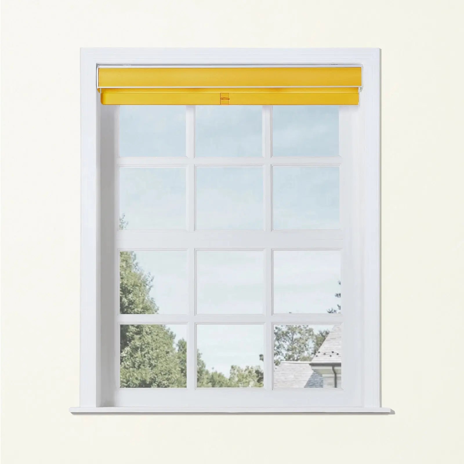 Alvin Basic Room Darkening Cordless Roller Blinds-?-TWOPAGES
