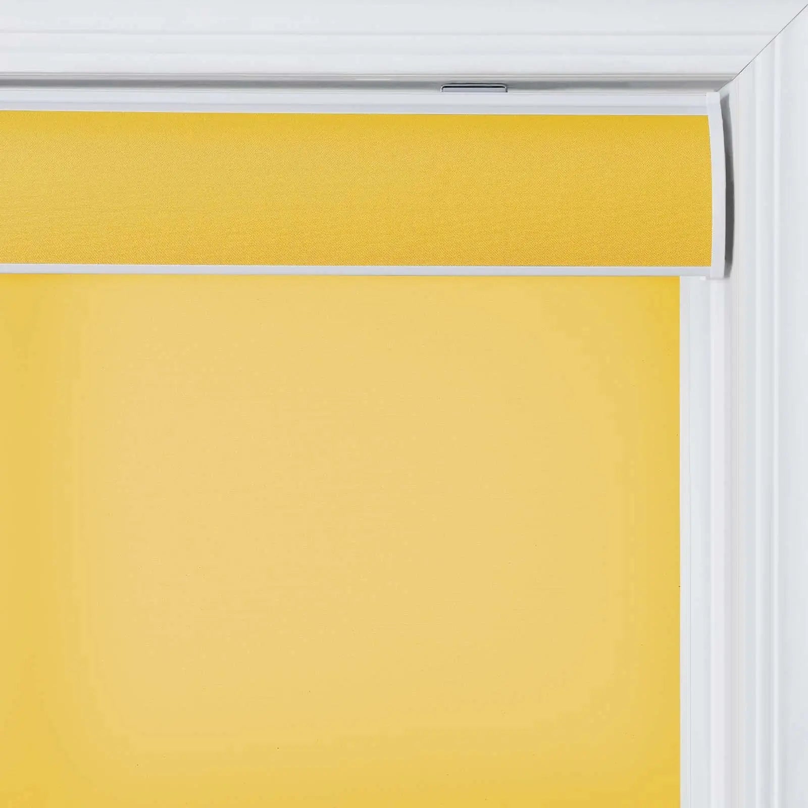 Alvin Basic Room Darkening Cordless Roller Blinds-?-TWOPAGES