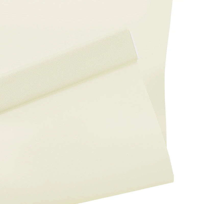 Alvin Basic Room Darkening Cordless Roller Blinds-?-TWOPAGES