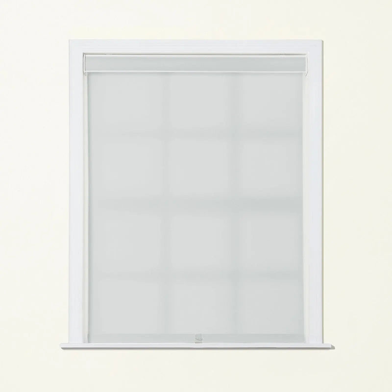 Alvin Basic Room Darkening Cordless Roller Blinds-?-TWOPAGES